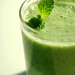 Pak Choi Photo 15
