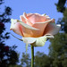 Marilyn Long Photo 38