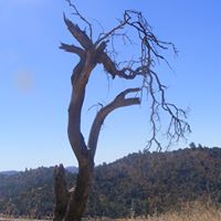 Robert Hayter Photo 5