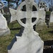 Abraham Goldman Photo 27