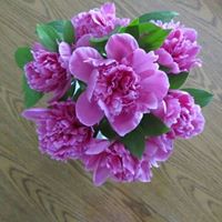 Mary Thelen Photo 2