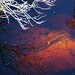 Amber Pool Photo 29