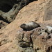 Ian Ingalls Photo 12