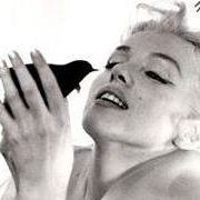 Delilah Young Photo 5