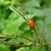 Mathew Varghese Photo 43