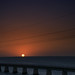 Patricia Moser Photo 37