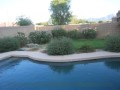 Robert Tolleson Photo 9