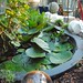 Vicki Marks Photo 29