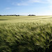 Mark Bakke Photo 27