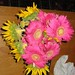 Claire Gerber Photo 16