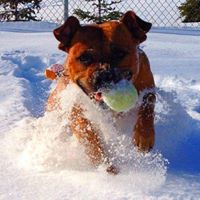 Timothy Friday Photo 5