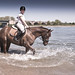 Sandra Rode Photo 24