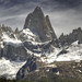 Roy Mauro Photo 19