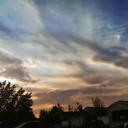 Michelle Wendel Photo 9