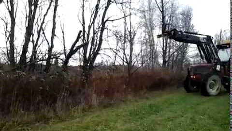 Daniel Provencher Photo 30