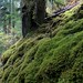 Gina Moss Photo 37