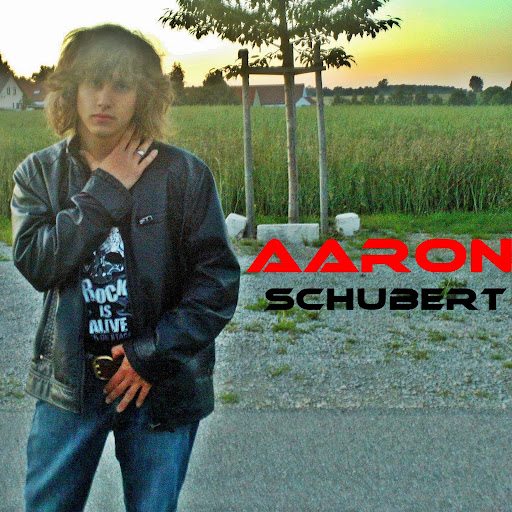 Aaron Schubert Photo 15