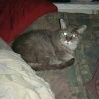 Thomas Hawes Photo 2