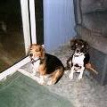 Margaret Goodman Photo 5