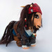 Jack Sparrow Photo 39