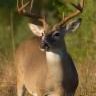 John Rigsby Photo 6