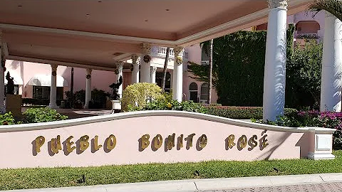 Bonita Rose Photo 16