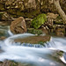Rolando Paredes Photo 34