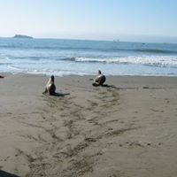 Janet Dickey Photo 3