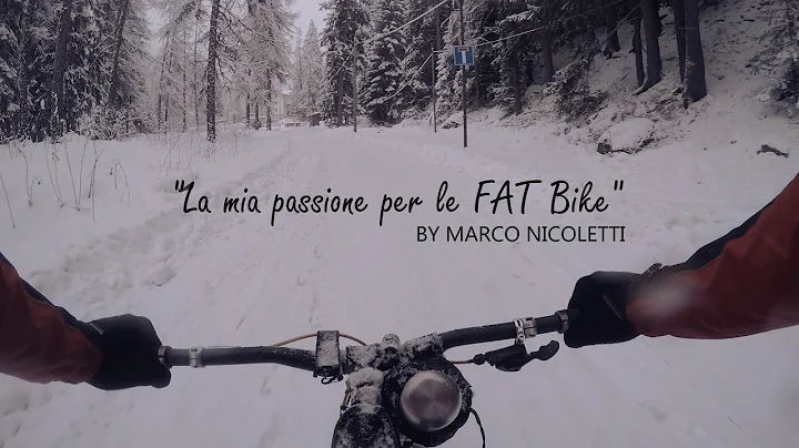 Marco Nicoletti Photo 27
