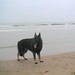 Ivar Strand Photo 16