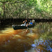 Dawn Collier Photo 31