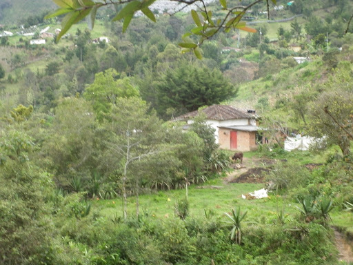 Gloria Pacheco Photo 12