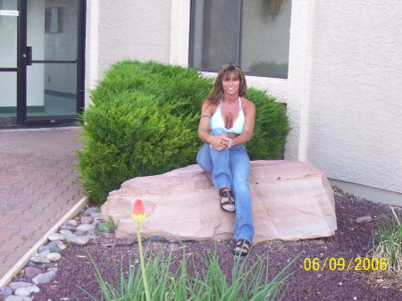 Lori Cook Photo 17