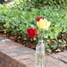 Wm Rose Photo 16