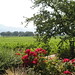 Barbara Lowry Photo 33