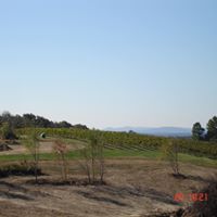 Kathy Kerns Photo 7