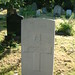 Peter Austin Photo 47