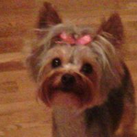 Joyce Lassiter Photo 4