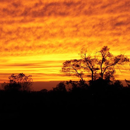 Doug Griffith Photo 26