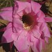 William Stamm Photo 26