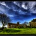 Brian Harty Photo 36