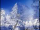 Chris Winter Photo 38