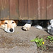 Molly Gates Photo 28