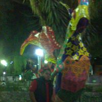 Genaro Rosario Photo 3