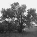 Sandy Dell Photo 32