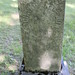 Richard Matteson Photo 37