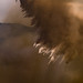 Forrest Erickson Photo 21