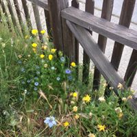 Julie Phillips Photo 9
