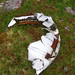 Corrie Bell Photo 12