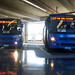 Jose Cobarrubia Photo 21